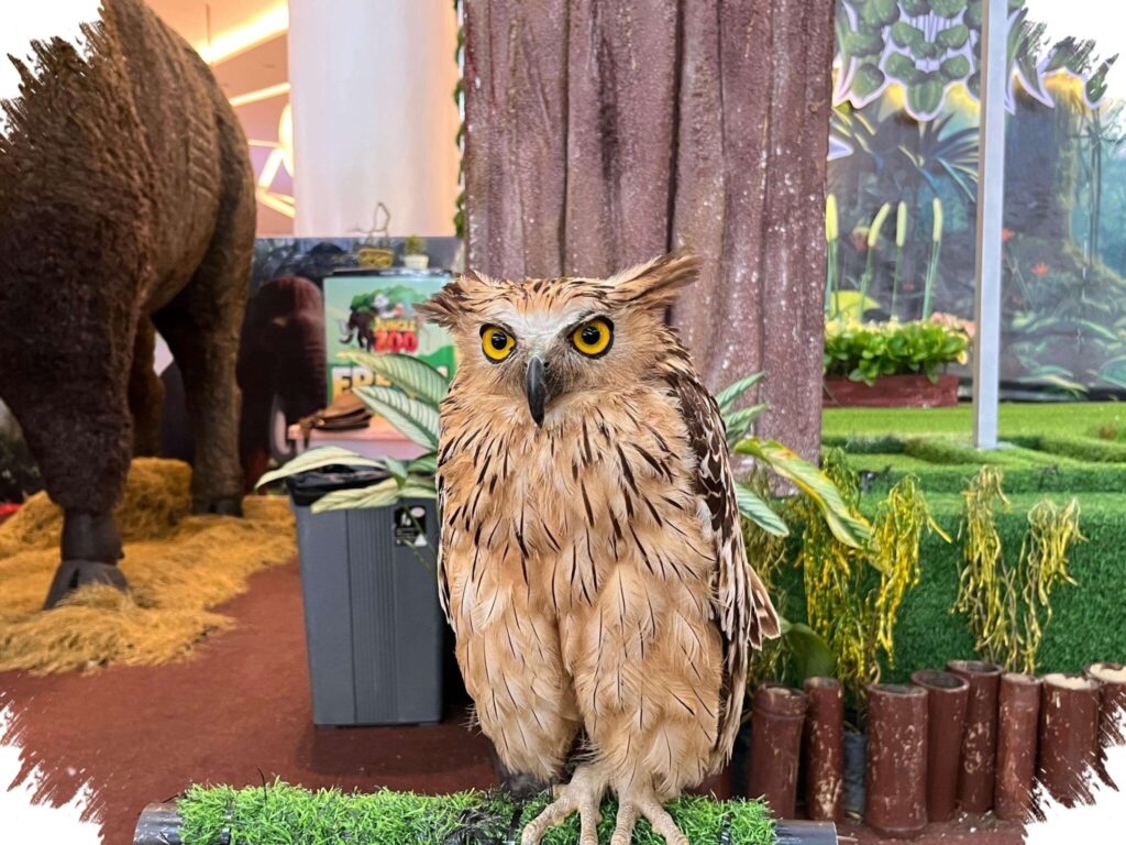 Buffy Fish Owl Pemburu Ikan Di Rawa, Burung Hantu Yang Bergantung Pada Air