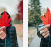 iPhone 11 Menantang DSLR, Hasil Foto dan Kemudahannya Bikin Kaget!