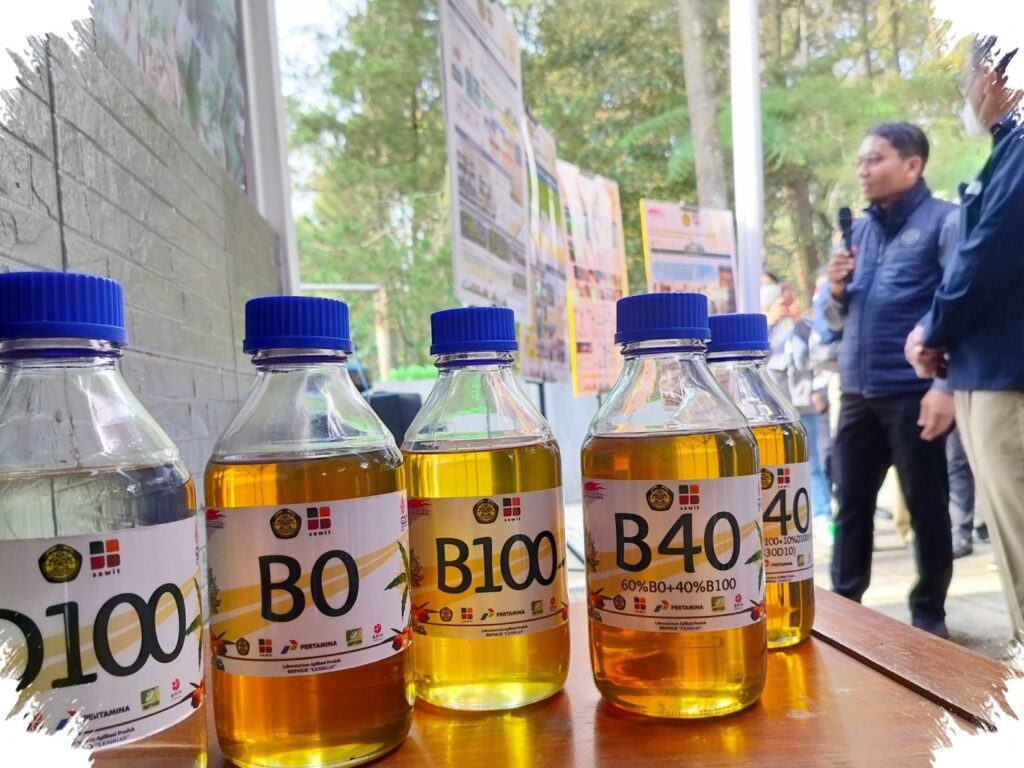 B50 Bisa Dimulai Lebih Cepat, E10 Disiapkan Menyusul Hingga 2028