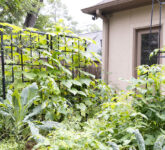 7 Konsep Kitchen Garden Ini Menampar Anggapan Rumah Mungil Tak Bisa Panen Sendiri