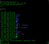 13 Trik Terminal Linux yang Diam-Diam Menghemat Waktu, Dari sudo !! Hingga cd -
