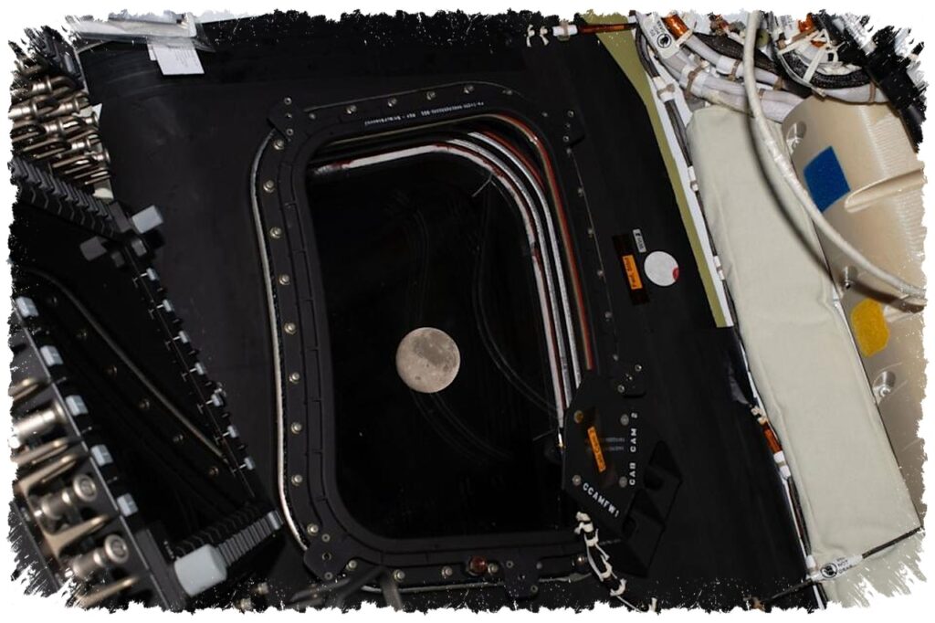 Selfie Dari Orbit Lebih Jauh, Artemis II Bawa iPhone 17 Memotret Bumi dari Luar Sana