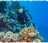 Sylvia Earle, 6 Fakta Tentang Perempuan yang Memaksa Dunia Mendengar Jeritan Laut Sylvia Earle, 6 Fakta Tentang Perempuan yang Memaksa Dunia Mendengar Jeritan Laut