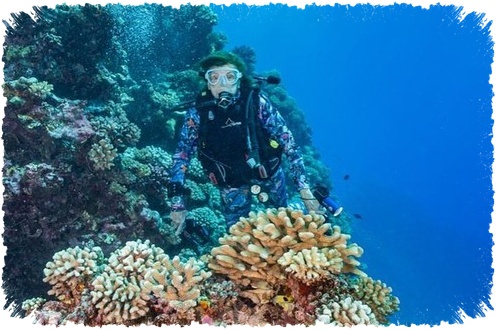 Sylvia Earle, 6 Fakta Tentang Perempuan yang Memaksa Dunia Mendengar Jeritan Laut