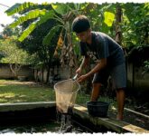 Cuma 2x2 Meter dan Modal Rp100 Ribu, 9 Ternak Ini Panen Kilat tanpa Ribet
