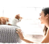 Jamur Mematikan Ini Menular Lewat Kucing, Ancaman Baru di Uruguay Jamur Mematikan Ini Menular Lewat Kucing, Ancaman Baru di Uruguay