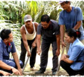 Rahasia Di Balik Dominasi PalmCo, Kunci Pendampingan PSR Nasional Rahasia Di Balik Dominasi PalmCo, Kunci Pendampingan PSR Nasional