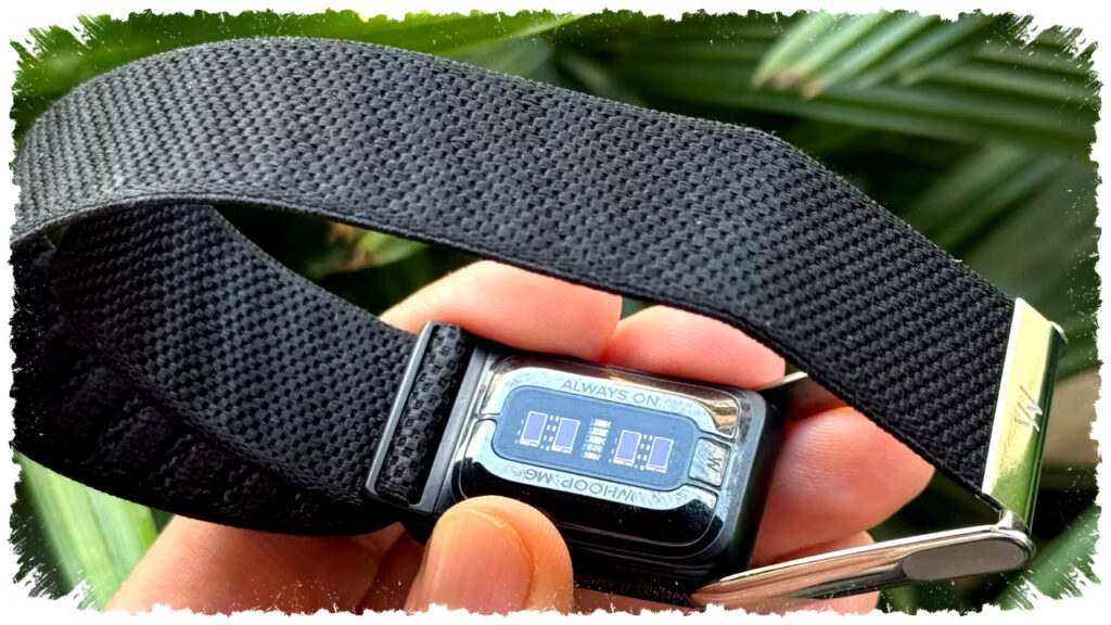 Fitbit Buang Layar demi Fokus, Gelang Mirip Whoop Ini Akhirnya Nyata