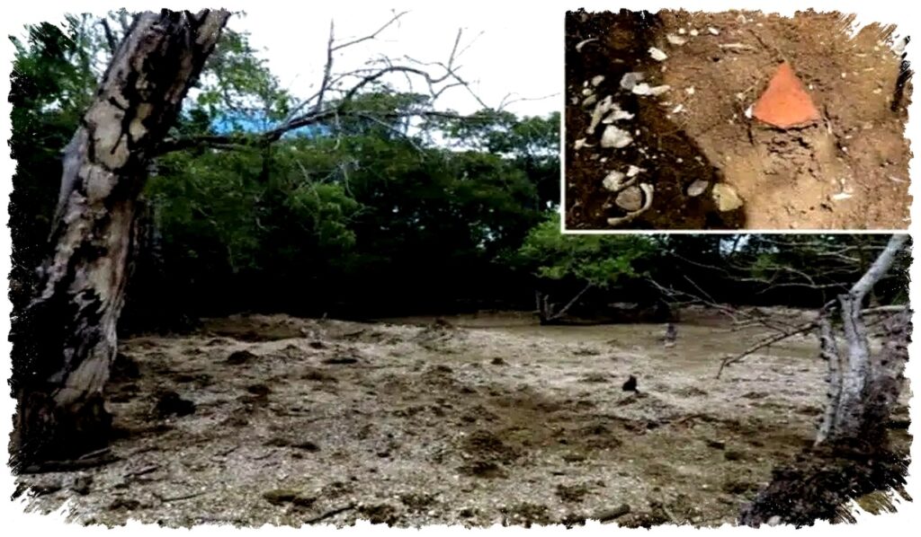 Pulau Culasawani Ternyata Tumpukan Kerang, Jejak Hunian Kuno di Fiji Terkuak