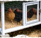Kandang Ayam dari Pipa PVC Bekas Ternyata Tak Ringkih, Ukuran Mini Ini Bisa Awet Bertahun-Tahun