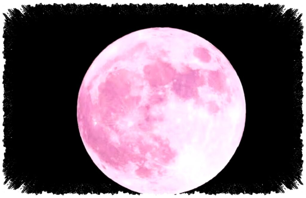 Pink Moon 1 April 2026 Bukan Bulan Merah Muda, Ini Fakta yang Sering Disalahpahami