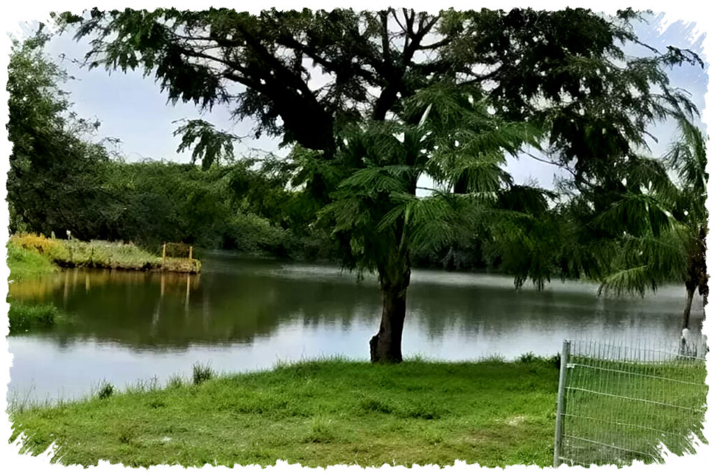 Video HP Anti Goyang yang Sulit Ditandingi, Uji Vivo X70 Pro Plus di Taman Rekreasi!