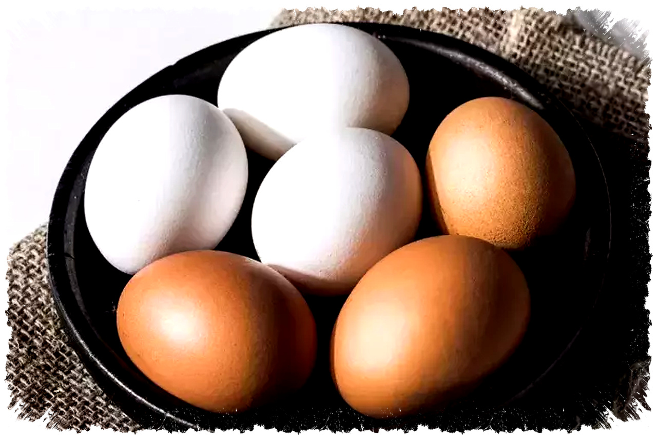 Telur Ayam Atau Bebek, Mana Yang Lebih Sehat Untuk Tubuh Anda?