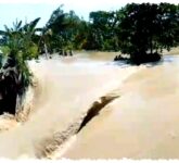 Tiga Tanggul Jebol di Sungai Tuntang, Demak Kembali Dilanda Banjir dan Warga Dievakuasi Tiga Tanggul Jebol di Sungai Tuntang, Demak Kembali Dilanda Banjir dan Warga Dievakuasi