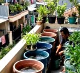 Ternak Lele di Lahan Sempit Tak Lagi Boros Air, Panen 40–50 Hari Justru Jadi Celah Cuan