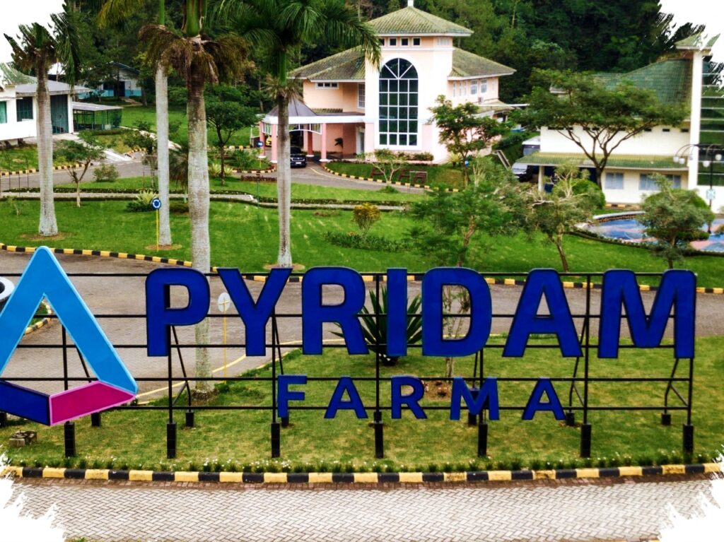 Permintaan Menguat, PYFA Tancap Gas Cetak Penjualan Bersih Rp2,76 Triliun