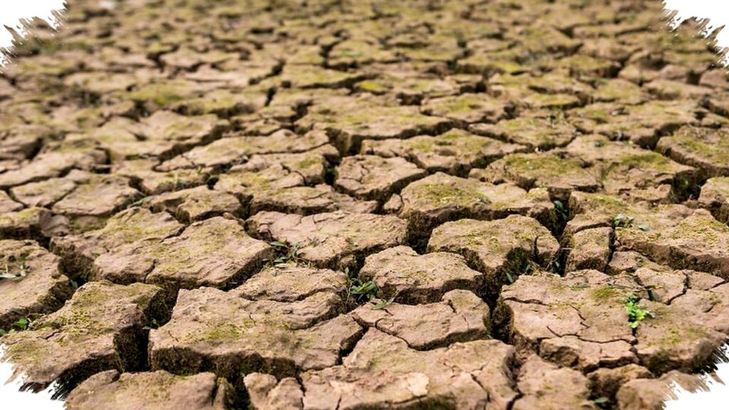 Kemarau Jawa Tengah Mulai April 2026, Ini Wilayah Yang Lebih Dulu Masuk Musim Kering