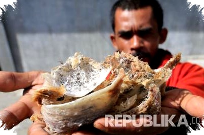 Polda Jateng Bongkar TPPU Investasi Walet Fiktif, Korban Semarang Rugi Rp78 Miliar