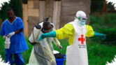 Wabah Ebola Baru Di Kongo Tewaskan 65 Orang, Ancaman Menjalar Ke Perbatasan Afrika Timur