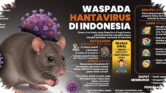 Selain Hantavirus, 5 Penyakit Ini Diam-Diam Bisa Ditularkan Tikus ke Manusia Selain Hantavirus, 5 Penyakit Ini Diam-Diam Bisa Ditularkan Tikus ke Manusia