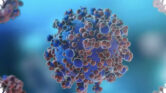 Wabah Hantavirus di Kapal Pesiar, Ini Beda Andes Virus dan Seoul Virus