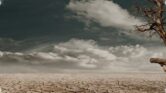 El Nino Mengintai Juli-September, Kemarau Kering dan Karhutla Kembali Mengancam El Nino Mengintai Juli-September, Kemarau Kering dan Karhutla Kembali Mengancam