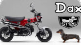 Honda ST125 Dax Vs Kawasaki Z125 Pro, Saat Motor 125cc Mirip Ternyata Beda Nasib di Jalan Honda ST125 Dax Vs Kawasaki Z125 Pro, Saat Motor 125cc Mirip Ternyata Beda Nasib di Jalan