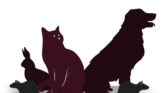 Zoonosis Mengintai Dari Hantavirus Hingga Rabies, Panduan Waspada Di Rumah