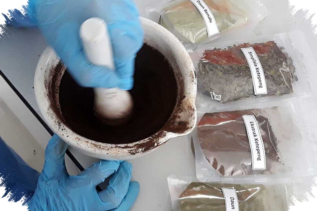 Gaya Hidup Sehat Mengubah Pasar, Herbal Masuk Rutinitas Harian Masyarakat