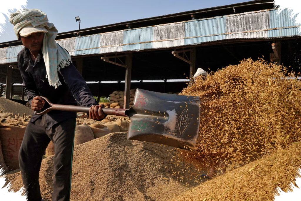 Produksi Beras Nasional 2026 Melampaui Kebutuhan, Harga Pangan Dunia Ikut Terkoreksi