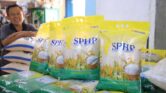 Dolar Menguat, Harga Beras SPHP Tetap Stabil dan Pasokan Dijaga Ketat Dolar Menguat, Harga Beras SPHP Tetap Stabil dan Pasokan Dijaga Ketat