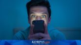 Jejak 4G dan Smartphone Disorot, Angka Kelahiran Dunia Anjlok Bukan Cuma Soal Ekonomi Jejak 4G dan Smartphone Disorot, Angka Kelahiran Dunia Anjlok Bukan Cuma Soal Ekonomi