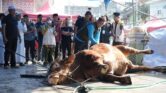 Kurban Pejabat Dari APBN Bukan Pengganti, Kewajiban Pribadi Tetap Harus Dibayar