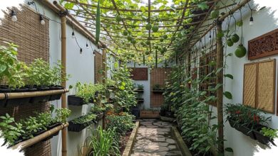 7 Kebun Rambat Ini Ubah Lorong Sempit Jadi Teduh, Cantik, Sekaligus Bisa Dipanen