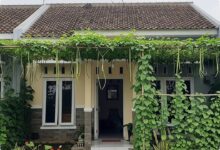 8 Ide Kanopi Sayur Rambat untuk Rumah Tipe 36, Teras Lebih Teduh tanpa Makan Tempat