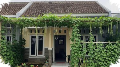 8 Ide Kanopi Sayur Rambat untuk Rumah Tipe 36, Teras Lebih Teduh tanpa Makan Tempat