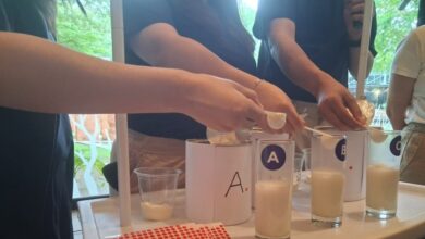 Susu Formula Tak Lagi Cukup Dilihat Dari Merek, 5 Kriteria Yang Menentukan Pilihan Orang Tua