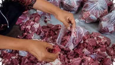 Simpan Daging Kurban dengan Benar, Kunci Aman dan Empuk Menurut Pakar