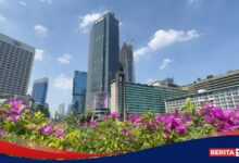 Big Bank RI Rontok Berjemaah, BBCA Sentuh Level Terendah 52 Minggu