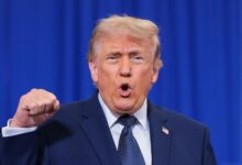 Amerika Punya Musuh Bebuyutan Baru, Eropa Siap Cabut Karpet Di Bawah Google Cs