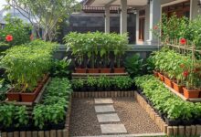 Halaman Depan Tetap Lapang, 9 Ide Kebun Sayur Ini Bikin Rumah Terasa Sejuk dan Rapi