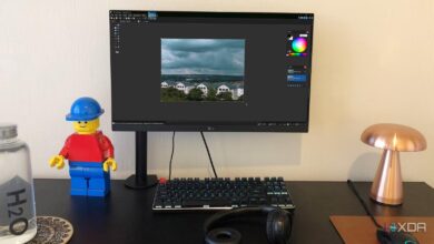 Setelah 22 Tahun Direbut, Paint.net Akhirnya Bisa Diunduh Langsung dari Paint.net