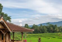 7 Rumah Desa Berjendela Jalusi, Solusi Adem Tanpa AC yang Tetap Terang dan Nyaman