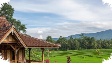 7 Rumah Desa Berjendela Jalusi, Solusi Adem Tanpa AC yang Tetap Terang dan Nyaman
