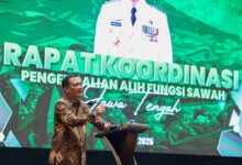 Jateng Kejar 970 Ribu Hektare Sawah Dilindungi, Lahan Hijau yang Terancam Alih Fungsi