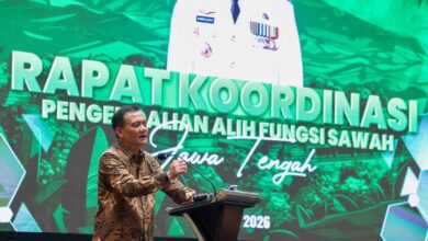 Jateng Kejar 970 Ribu Hektare Sawah Dilindungi, Lahan Hijau yang Terancam Alih Fungsi