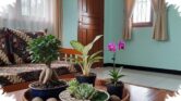 8 Tanaman Hias Mini untuk Meja Tamu, Sentuhan Kecil yang Bikin Ruang Tamu Terasa Hidup 8 Tanaman Hias Mini untuk Meja Tamu, Sentuhan Kecil yang Bikin Ruang Tamu Terasa Hidup