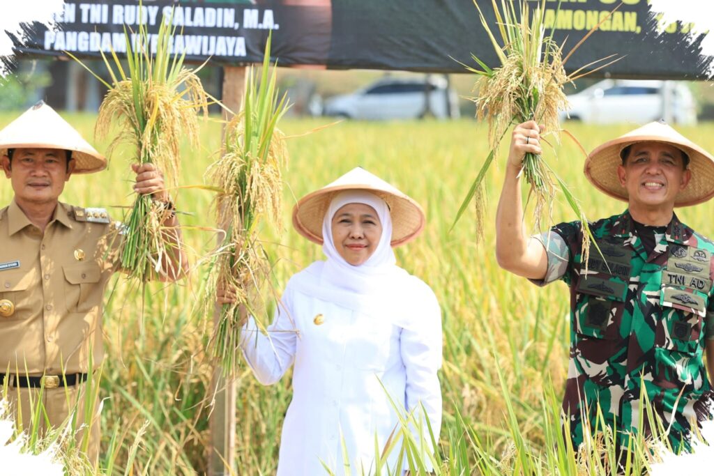 Padi Jatim Tembus 7,71 Juta Ton GKG, Lumbung Pangan Nasional Kian Kokoh