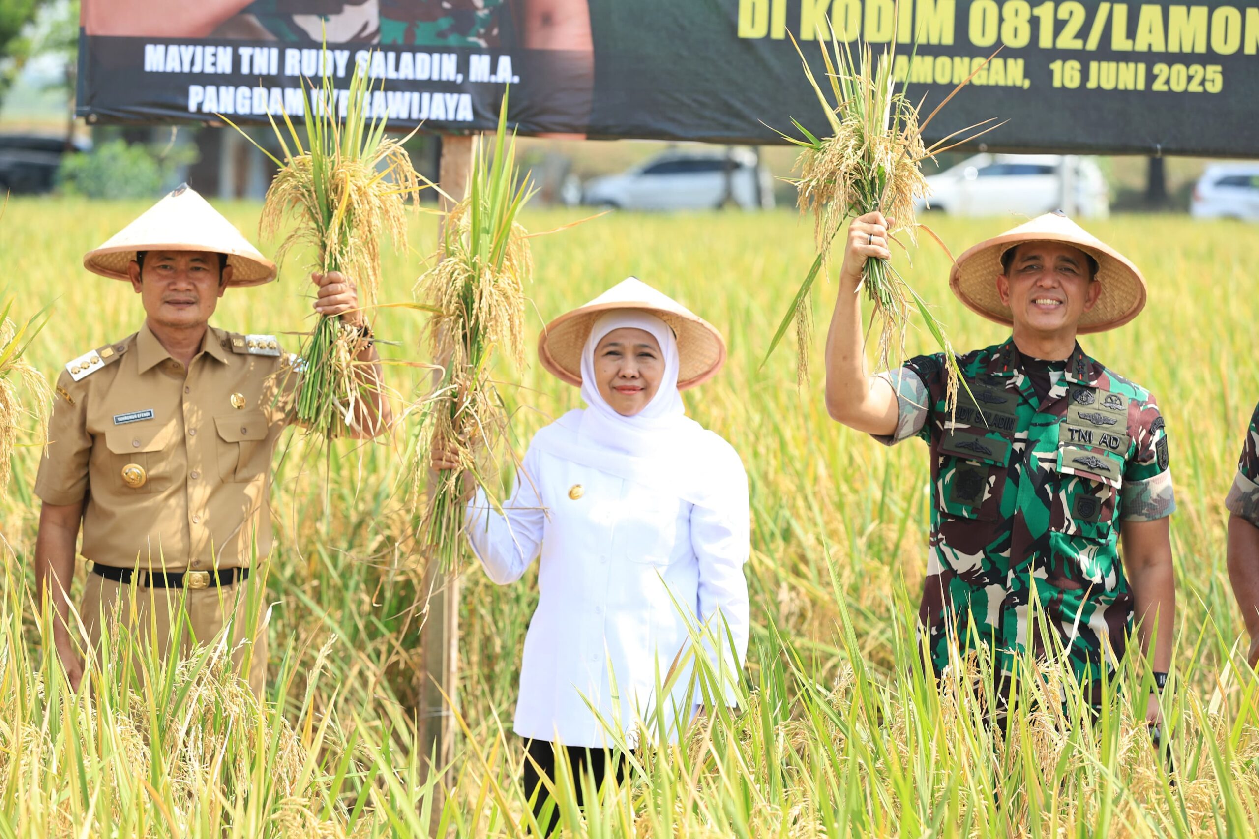 Padi Jatim Tembus 7,71 Juta Ton GKG, Lumbung Pangan Nasional Kian Kokoh