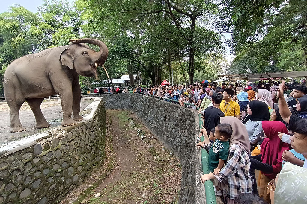 Insiden Ragunan Jadi Peringatan, Ini Cara Aman Mengawasi Anak di Kebun Binatang